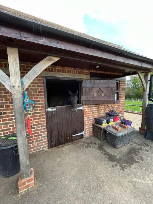 Appartamento The Stable, Grove End Farm Petworth Esterno foto
