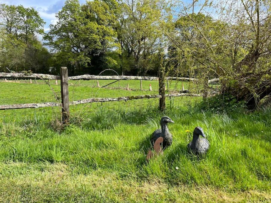 Appartamento The Stable, Grove End Farm Petworth Esterno foto