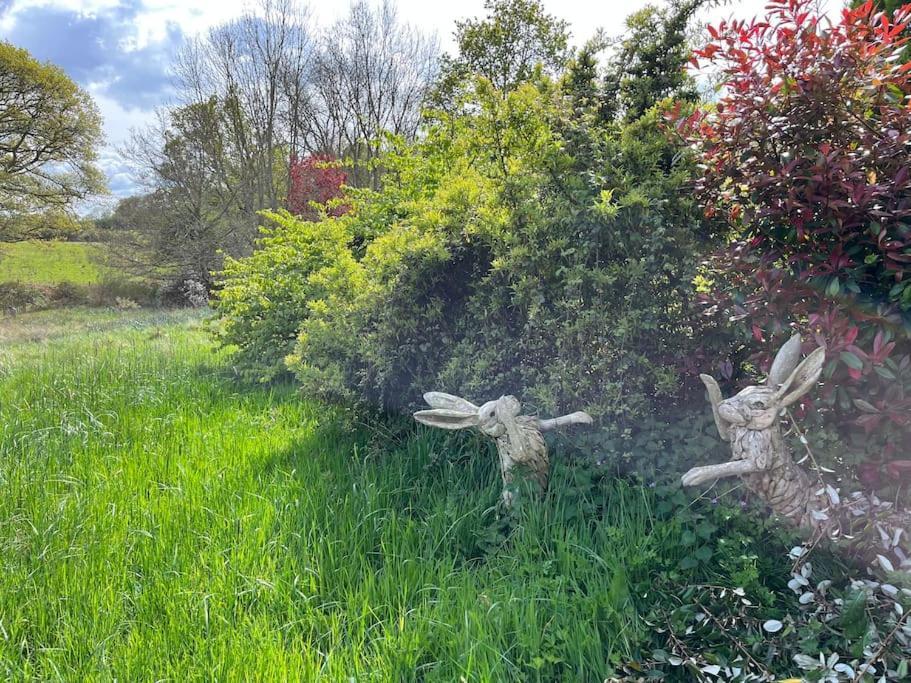 Appartamento The Stable, Grove End Farm Petworth Esterno foto